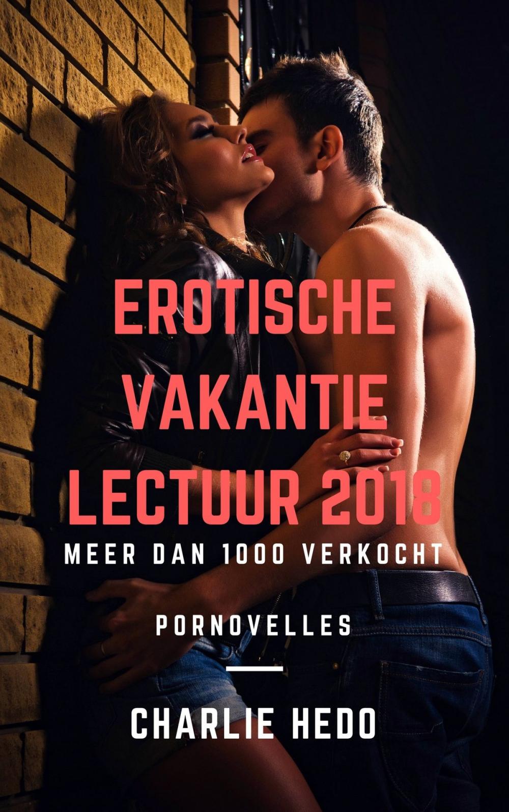 Big bigCover of Erotische Vakantielectuur 2018