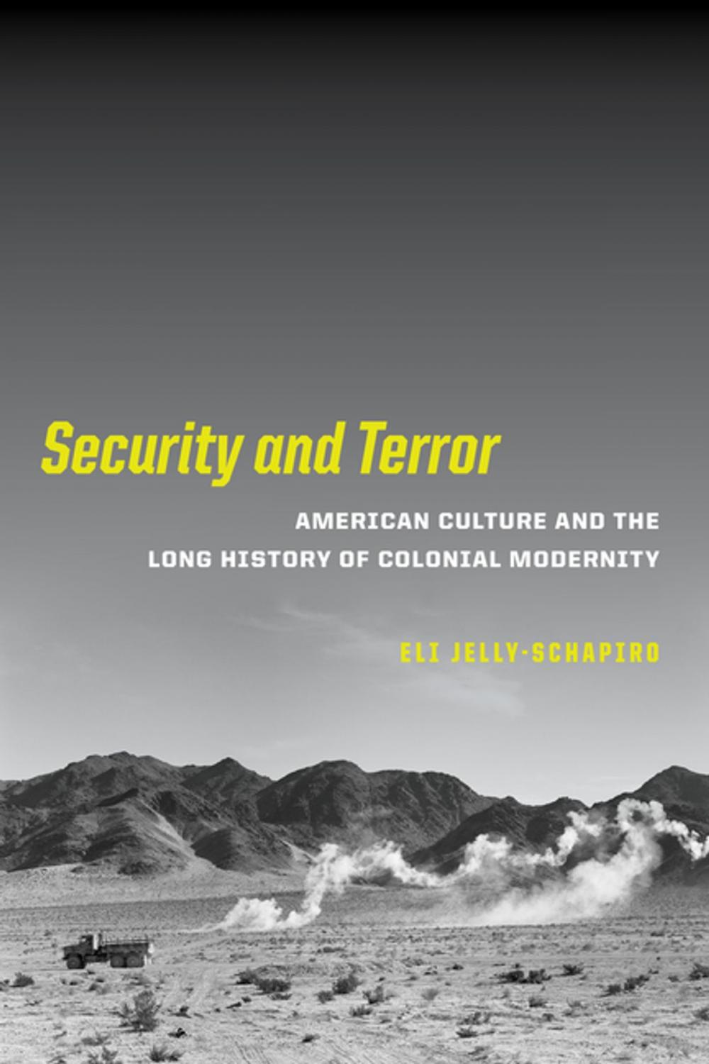 Big bigCover of Security and Terror