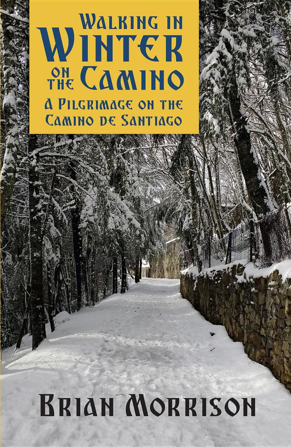 Big bigCover of WALKING IN WINTER ON THE CAMINO