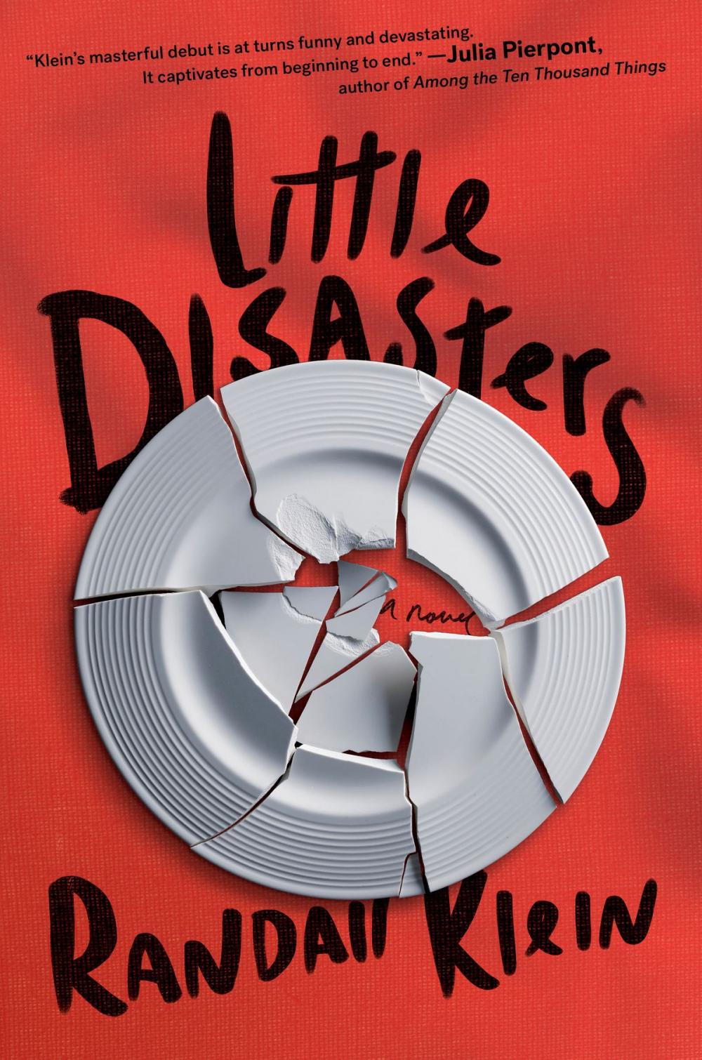 Big bigCover of Little Disasters