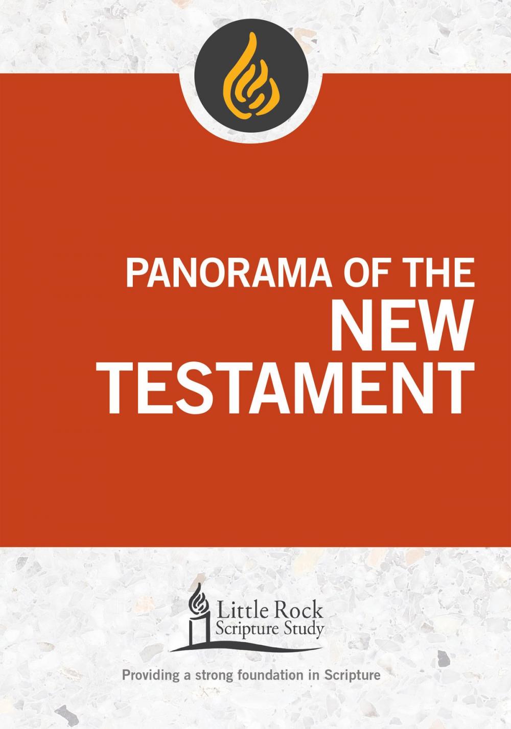 Big bigCover of Panorama of the New Testament