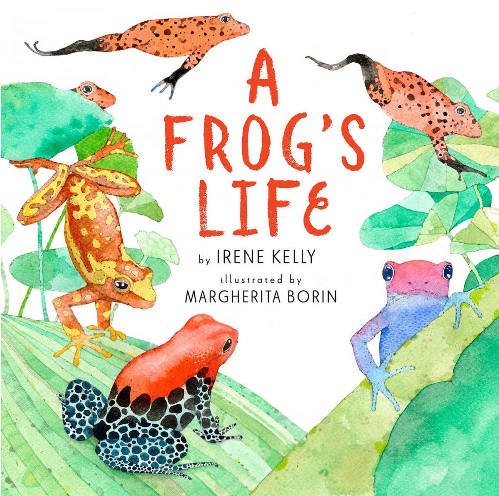 Big bigCover of A Frog's Life