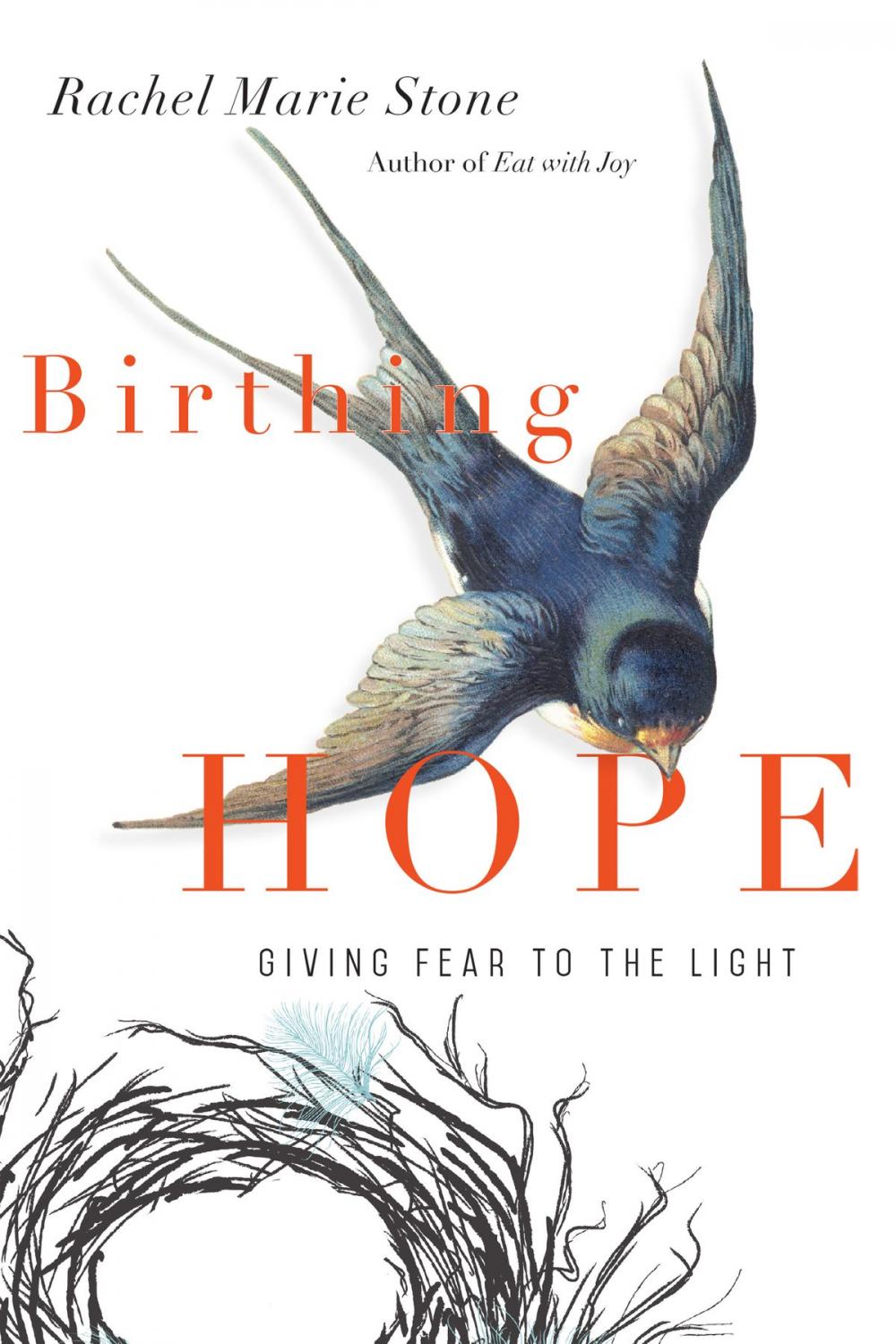 Big bigCover of Birthing Hope