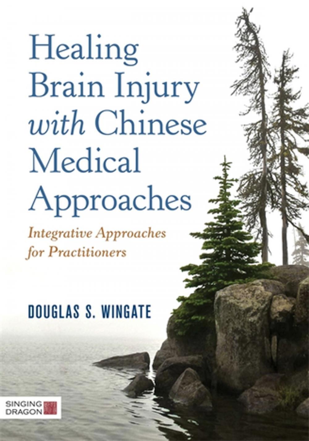 Big bigCover of Healing Brain Injury with Chinese Medical Approaches