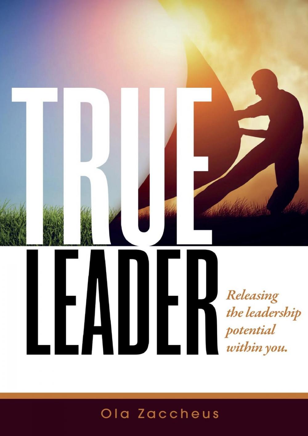 Big bigCover of True Leader