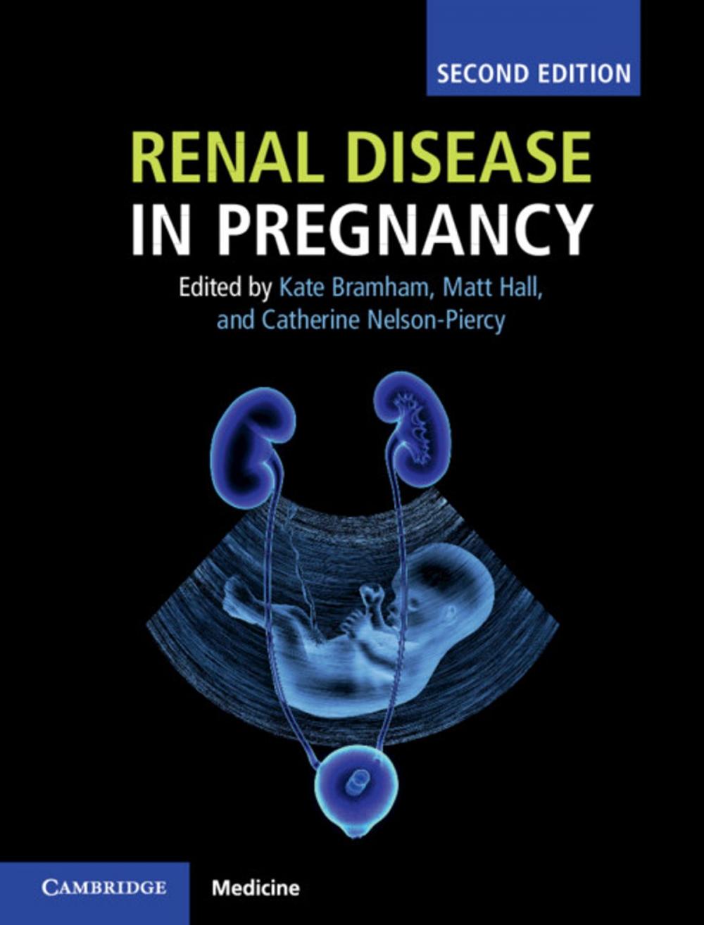 Big bigCover of Renal Disease in Pregnancy