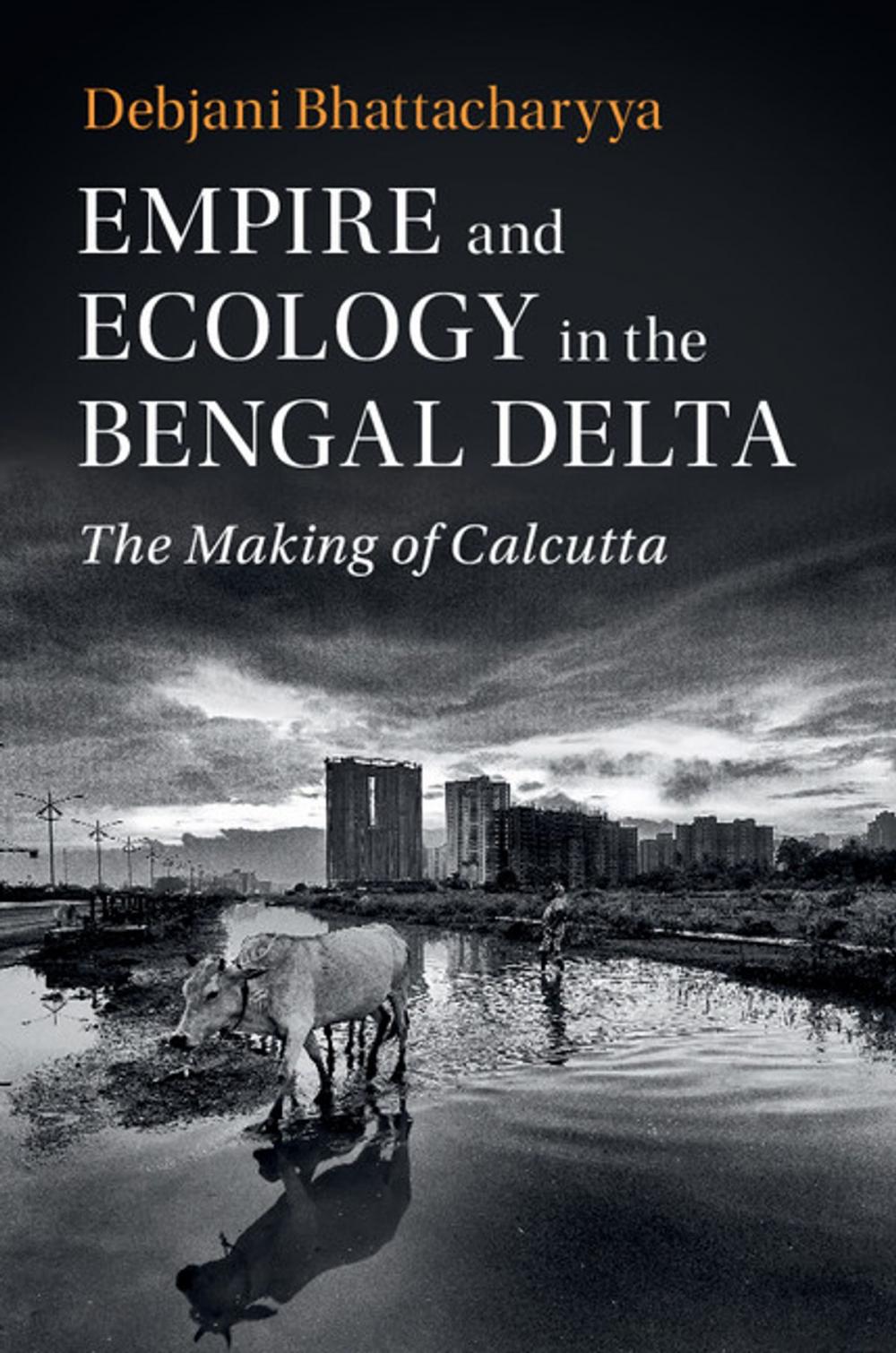 Big bigCover of Empire and Ecology in the Bengal Delta