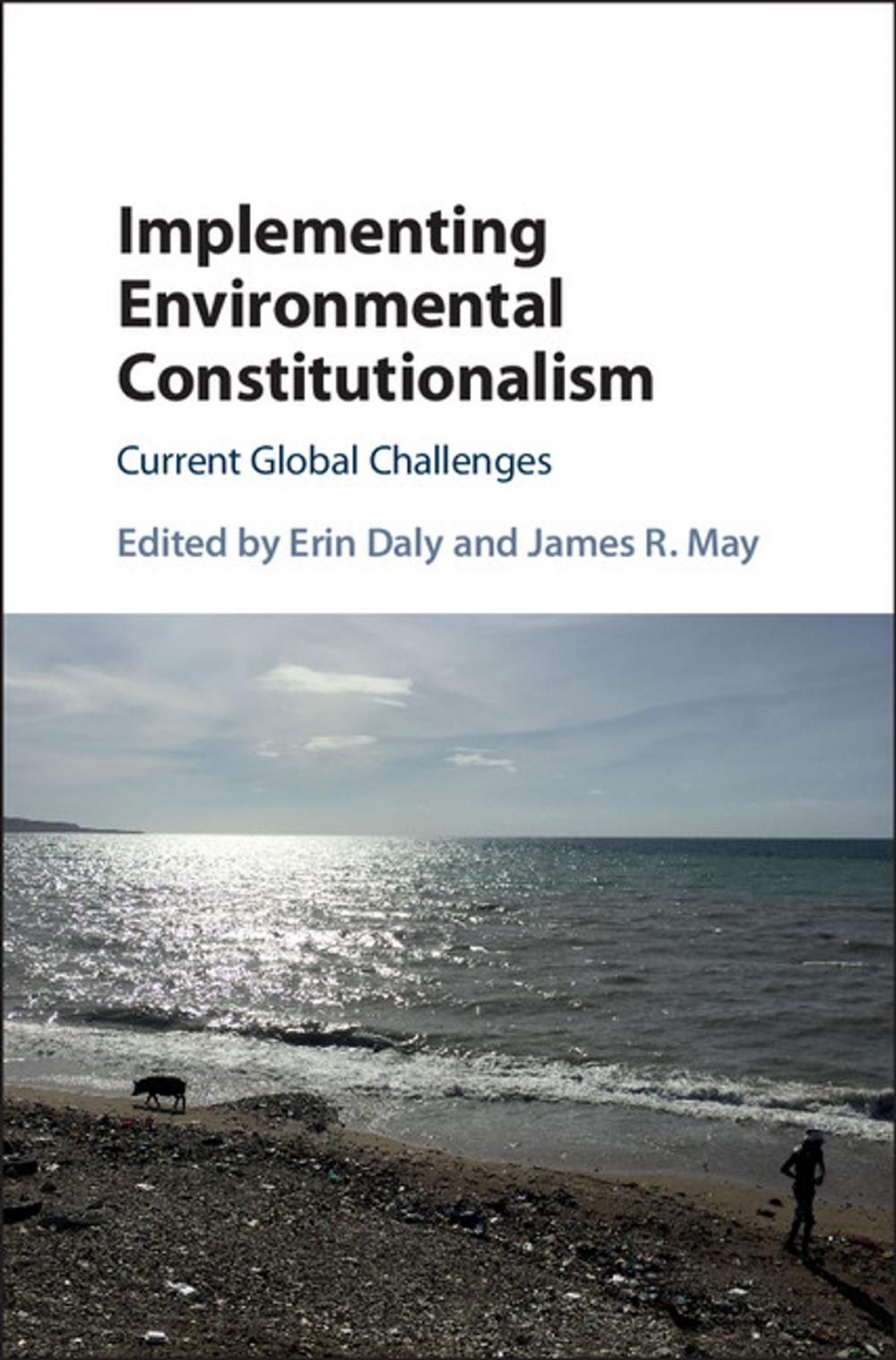 Big bigCover of Implementing Environmental Constitutionalism