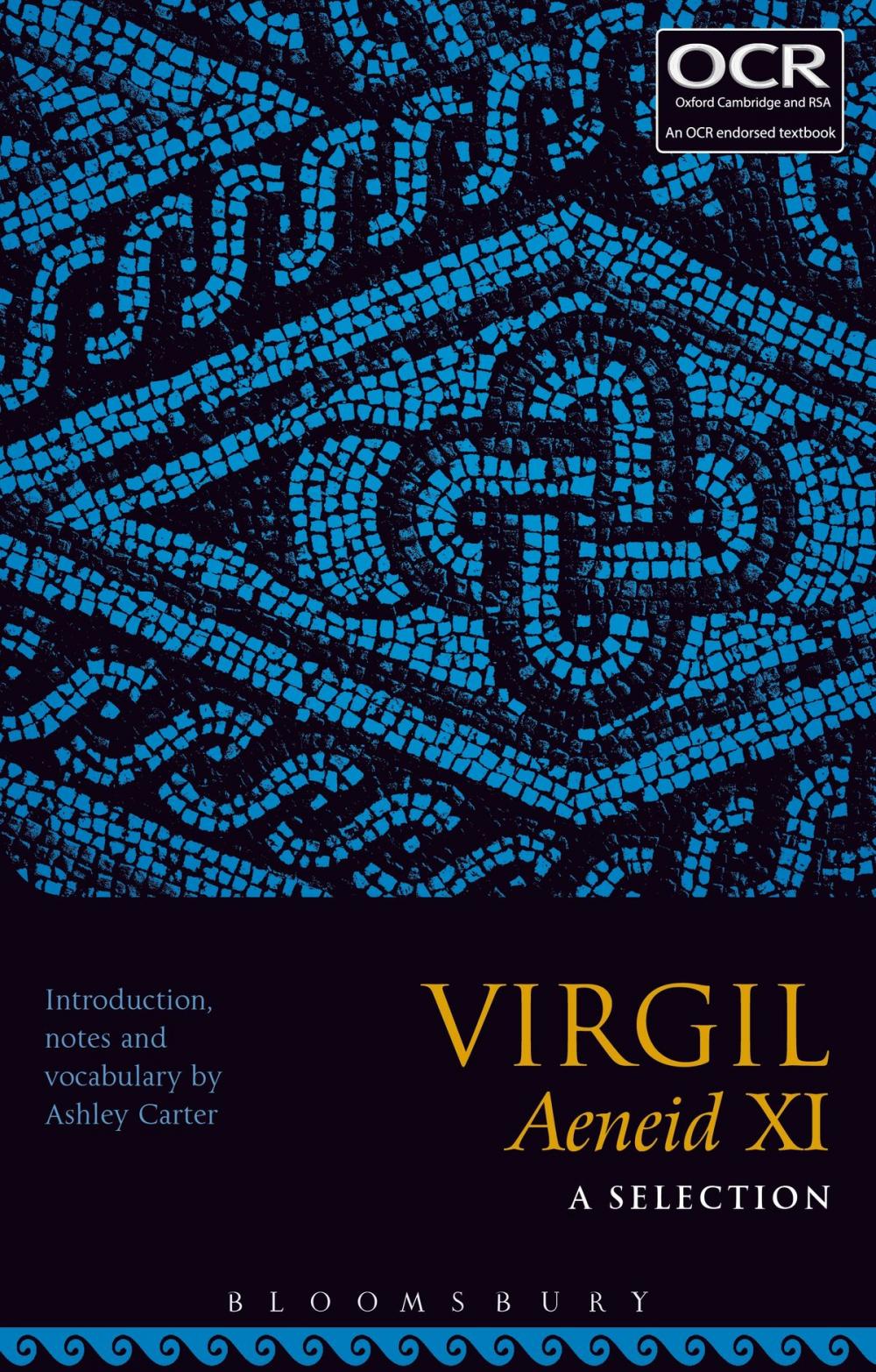 Big bigCover of Virgil Aeneid XI: A Selection