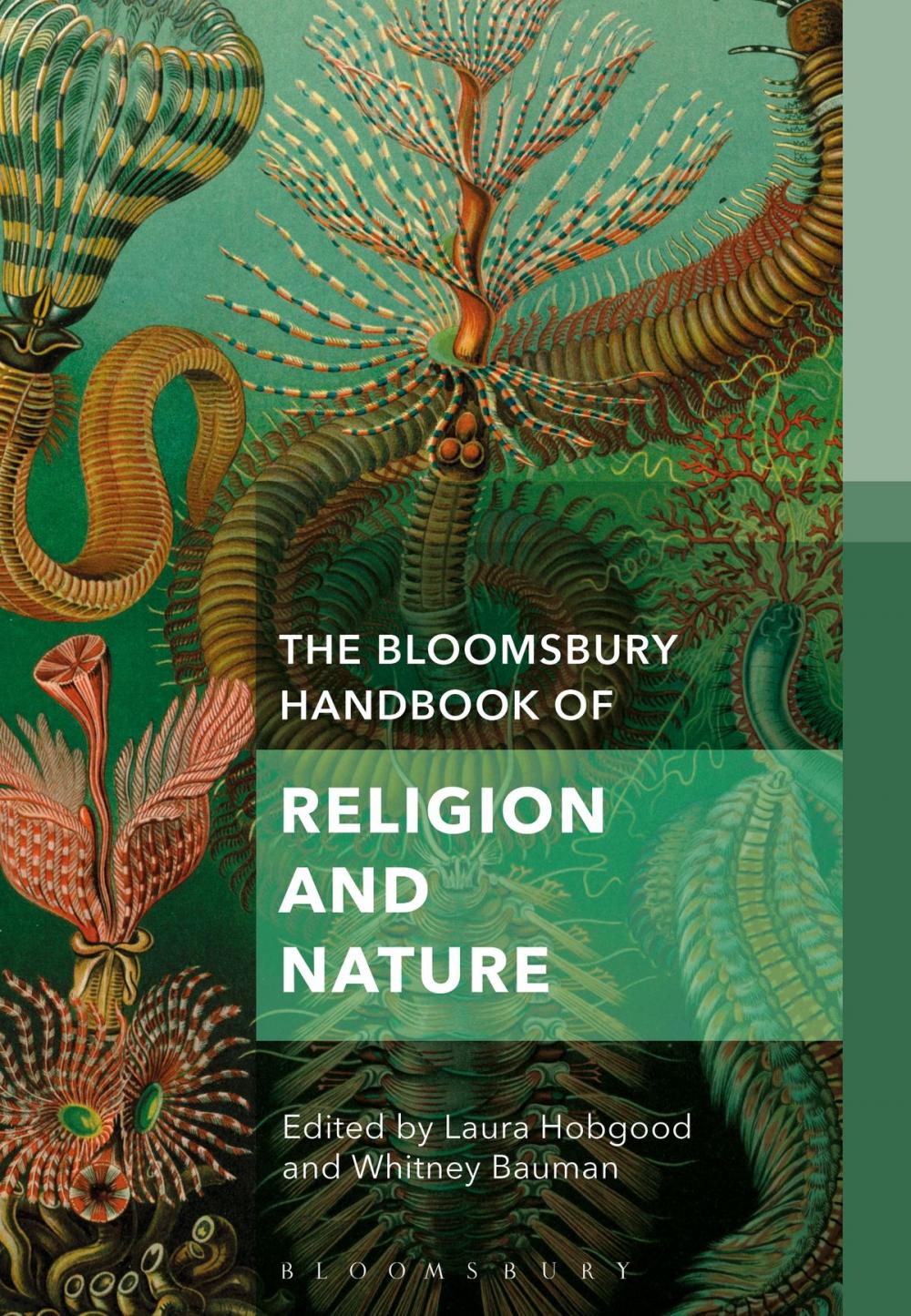 Big bigCover of The Bloomsbury Handbook of Religion and Nature