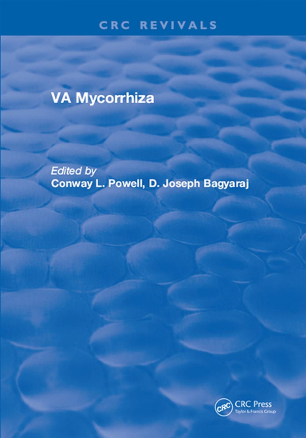 Big bigCover of Va Mycorrhiza