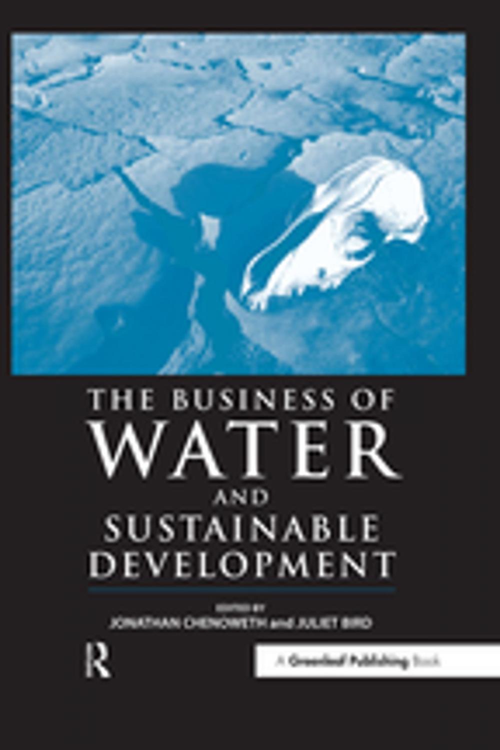 Big bigCover of The Business of Water and Sustainable Development