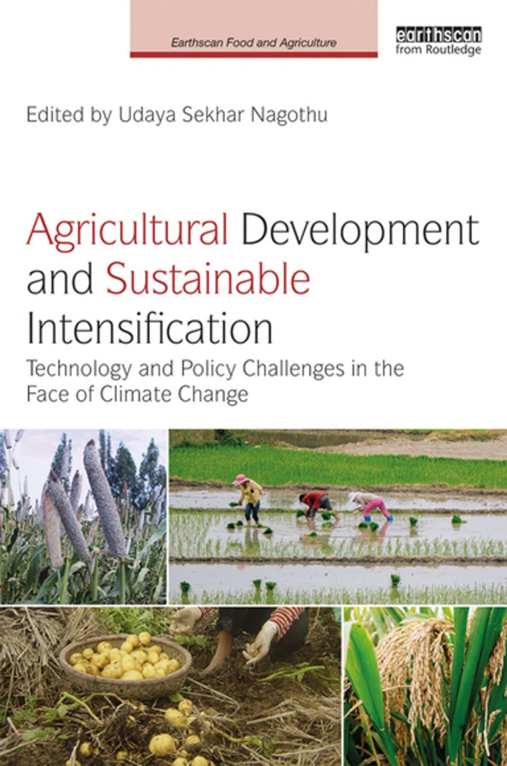 Big bigCover of Agricultural Development and Sustainable Intensification