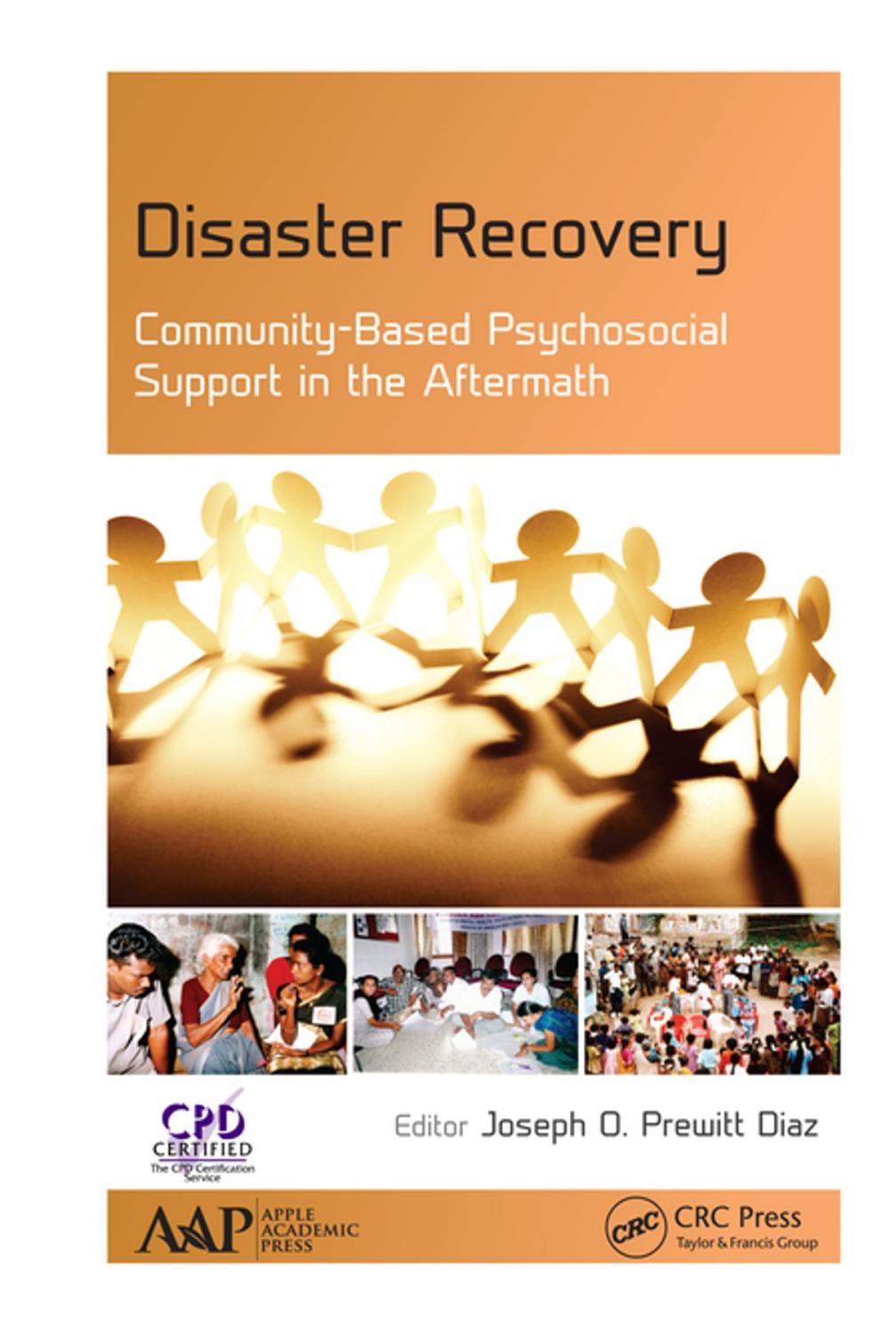 Big bigCover of Disaster Recovery