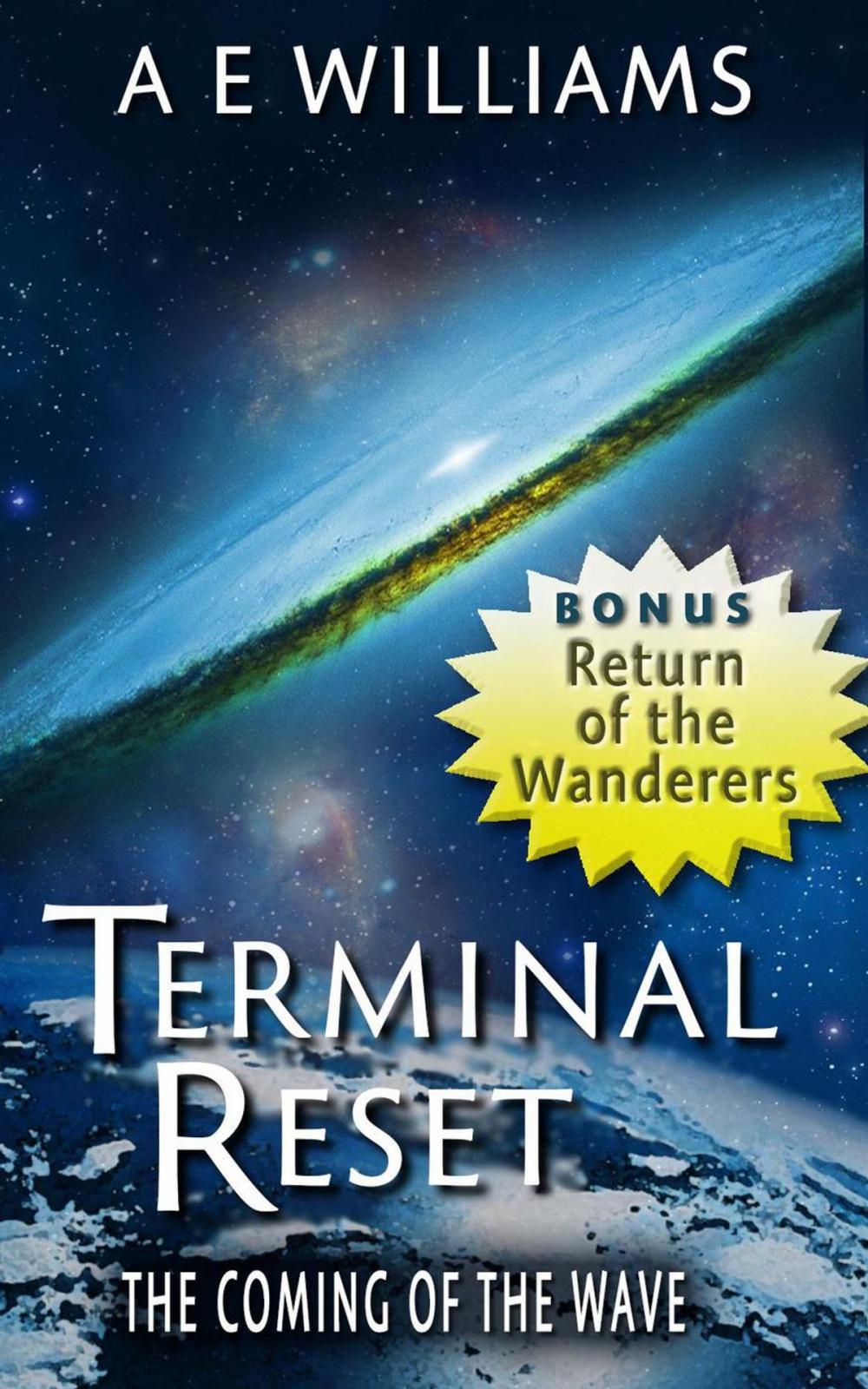 Big bigCover of Terminal Reset