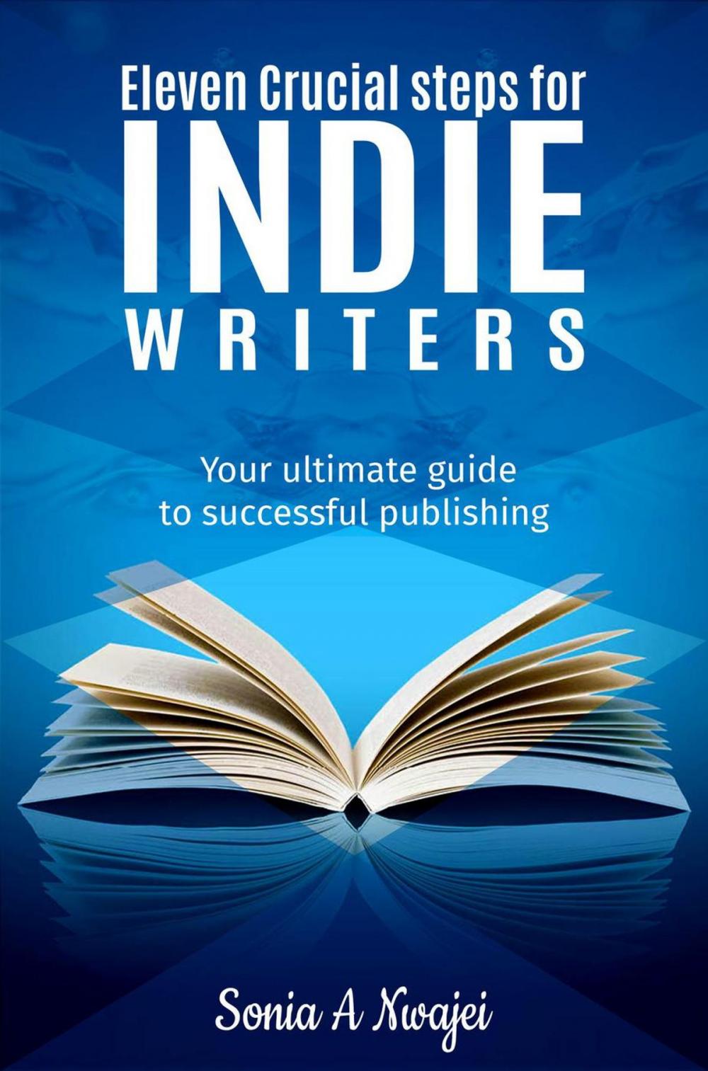 Big bigCover of Eleven Crucial Steps For Indie Writers