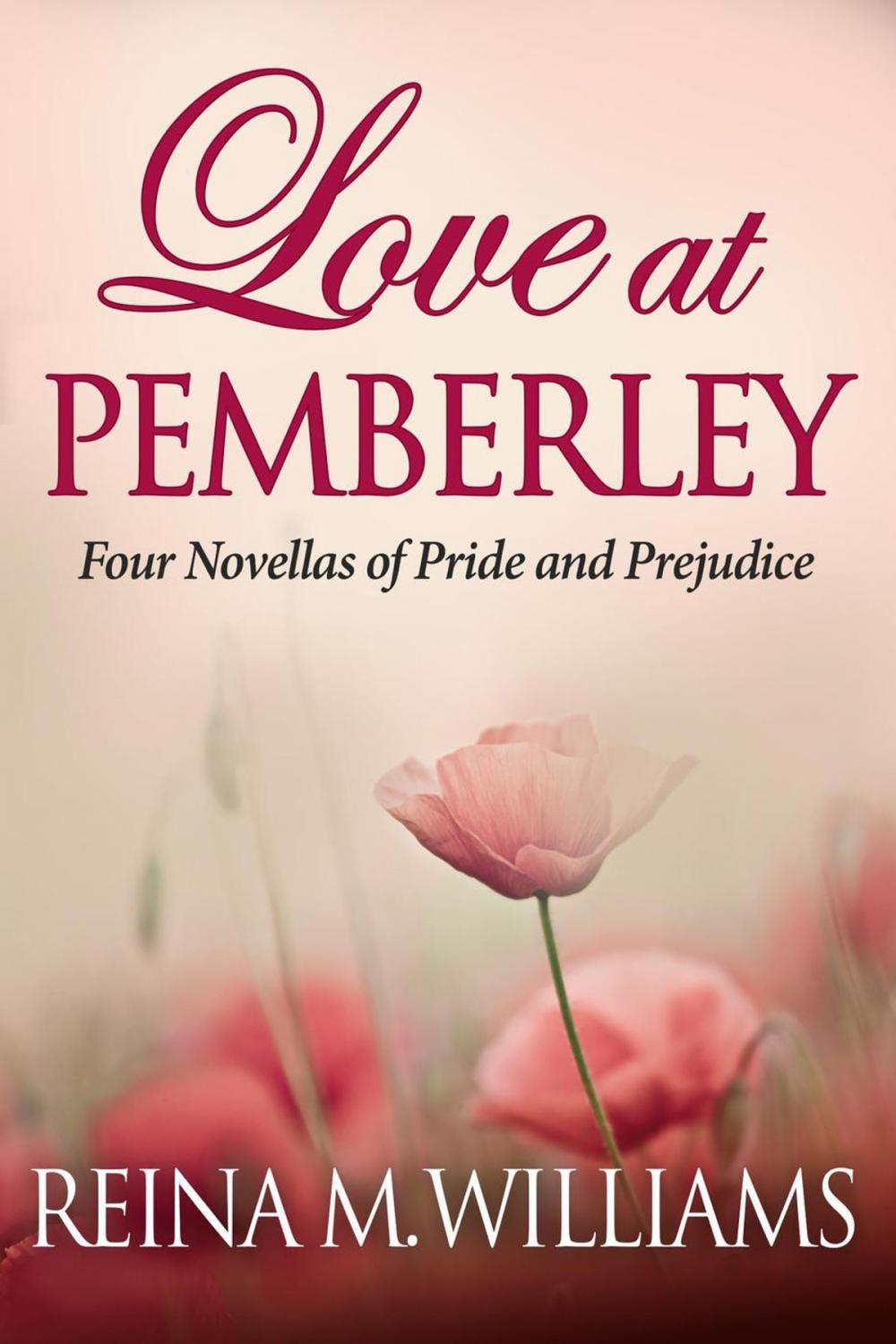 Big bigCover of Love at Pemberley