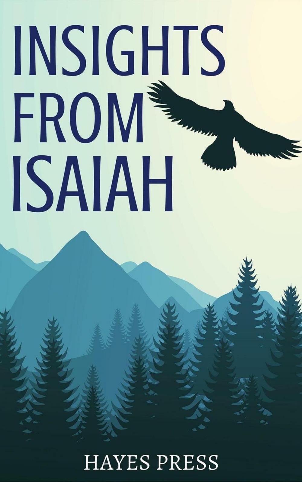 Big bigCover of Insights from Isaiah