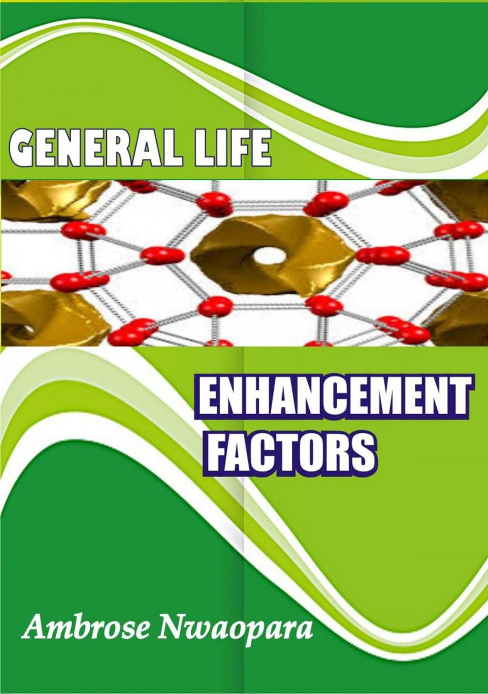 Big bigCover of General Life Enhancement Factors