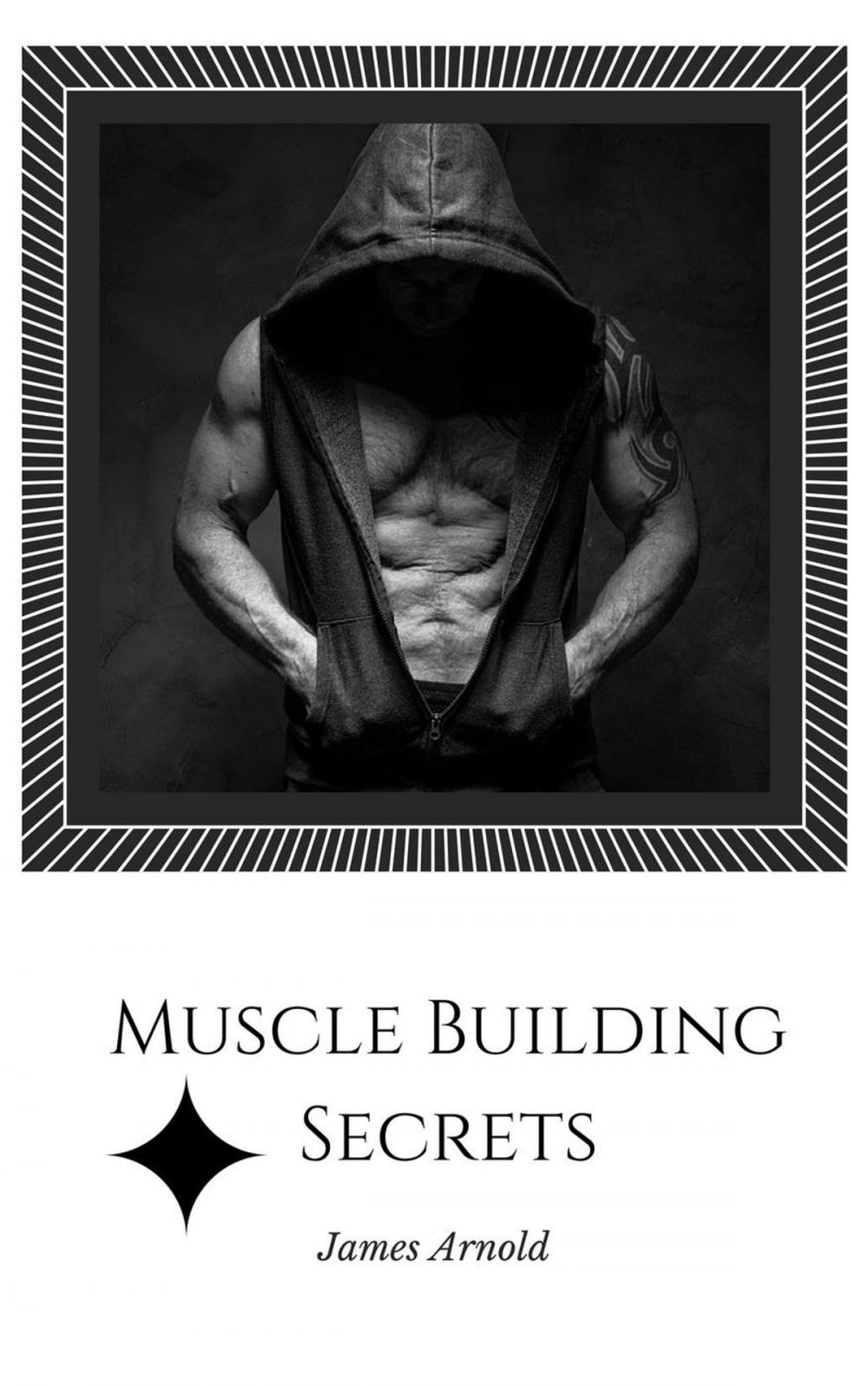 Big bigCover of Muscle Building Secrets