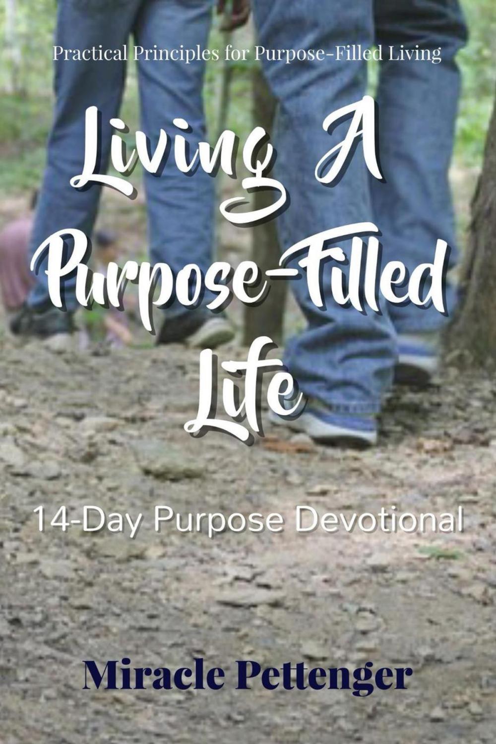 Big bigCover of Living A Purpose-Filled Life: 14 Day Purpose Devotional