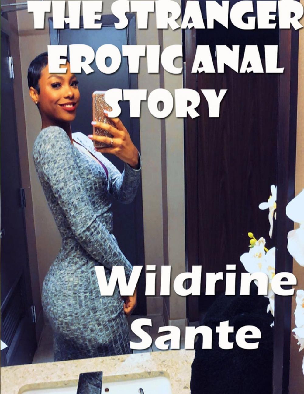 Big bigCover of The Stranger Erotic Anal Story