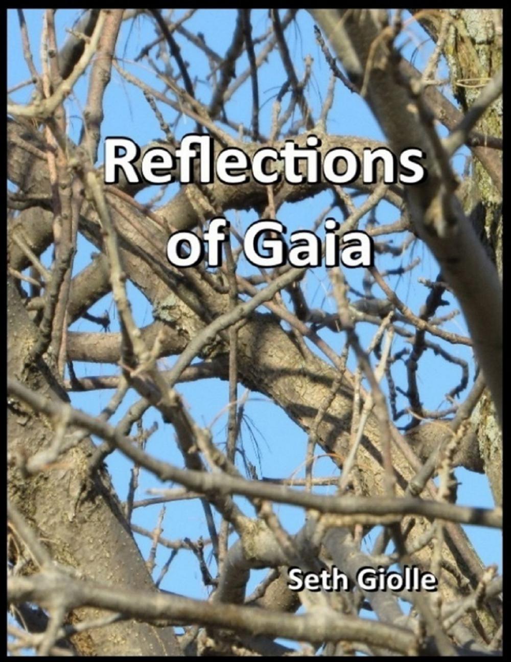 Big bigCover of Reflections of Gaia