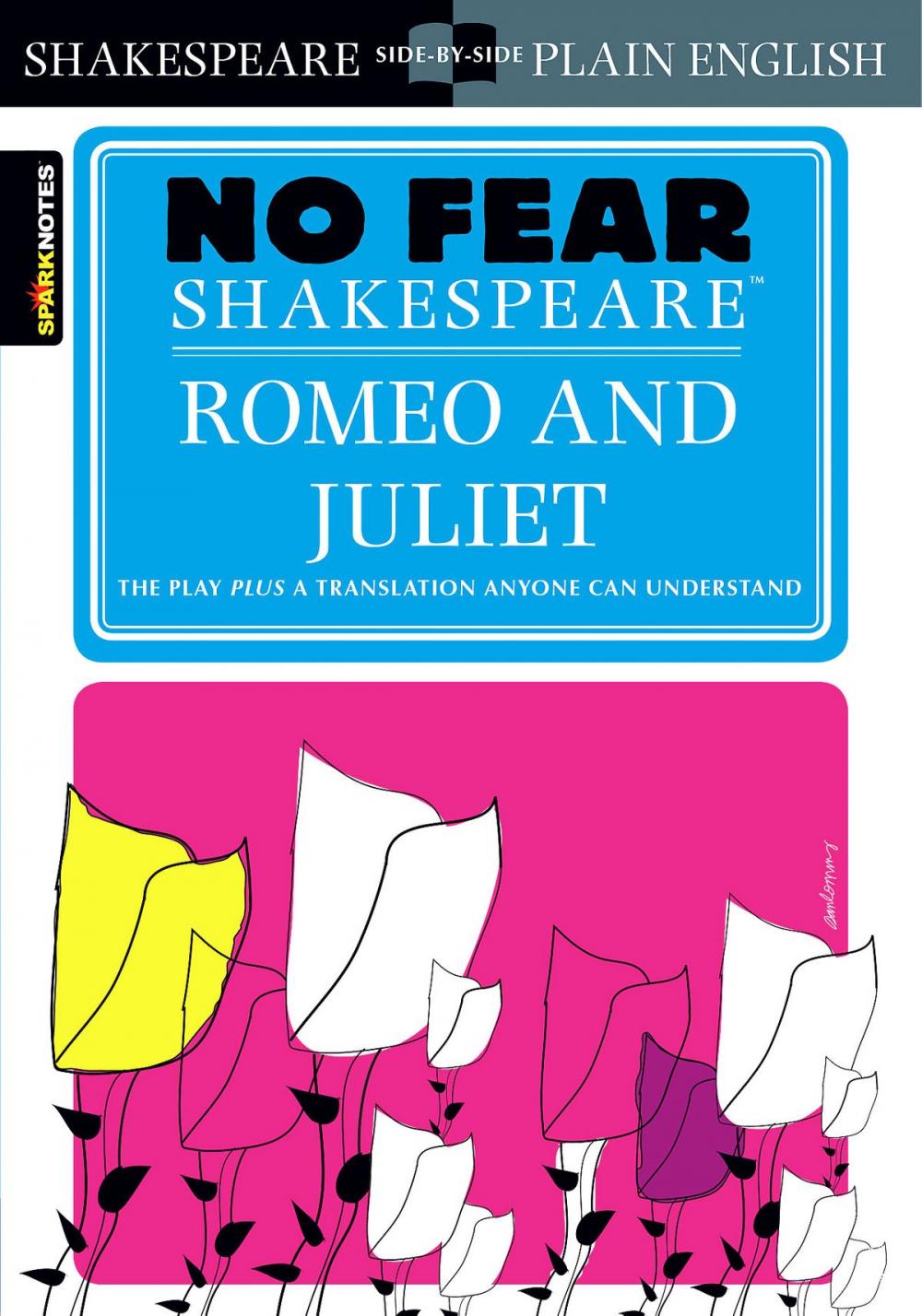 Big bigCover of Romeo and Juliet (No Fear Shakespeare)