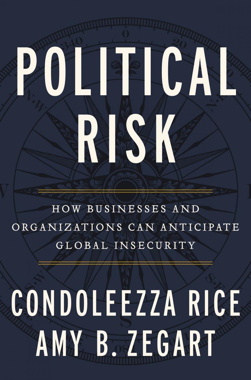 Big bigCover of Political Risk