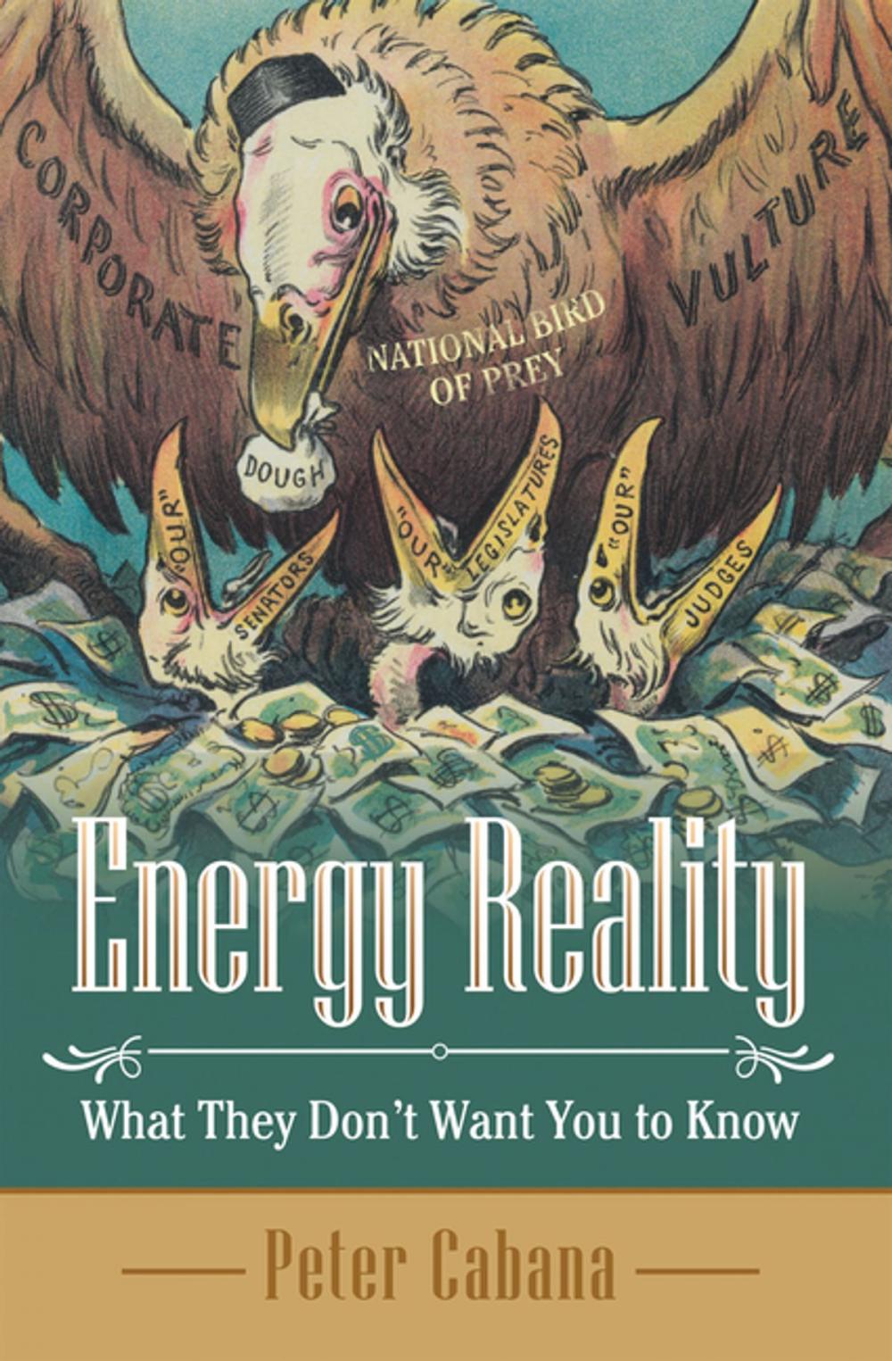 Big bigCover of Energy Reality