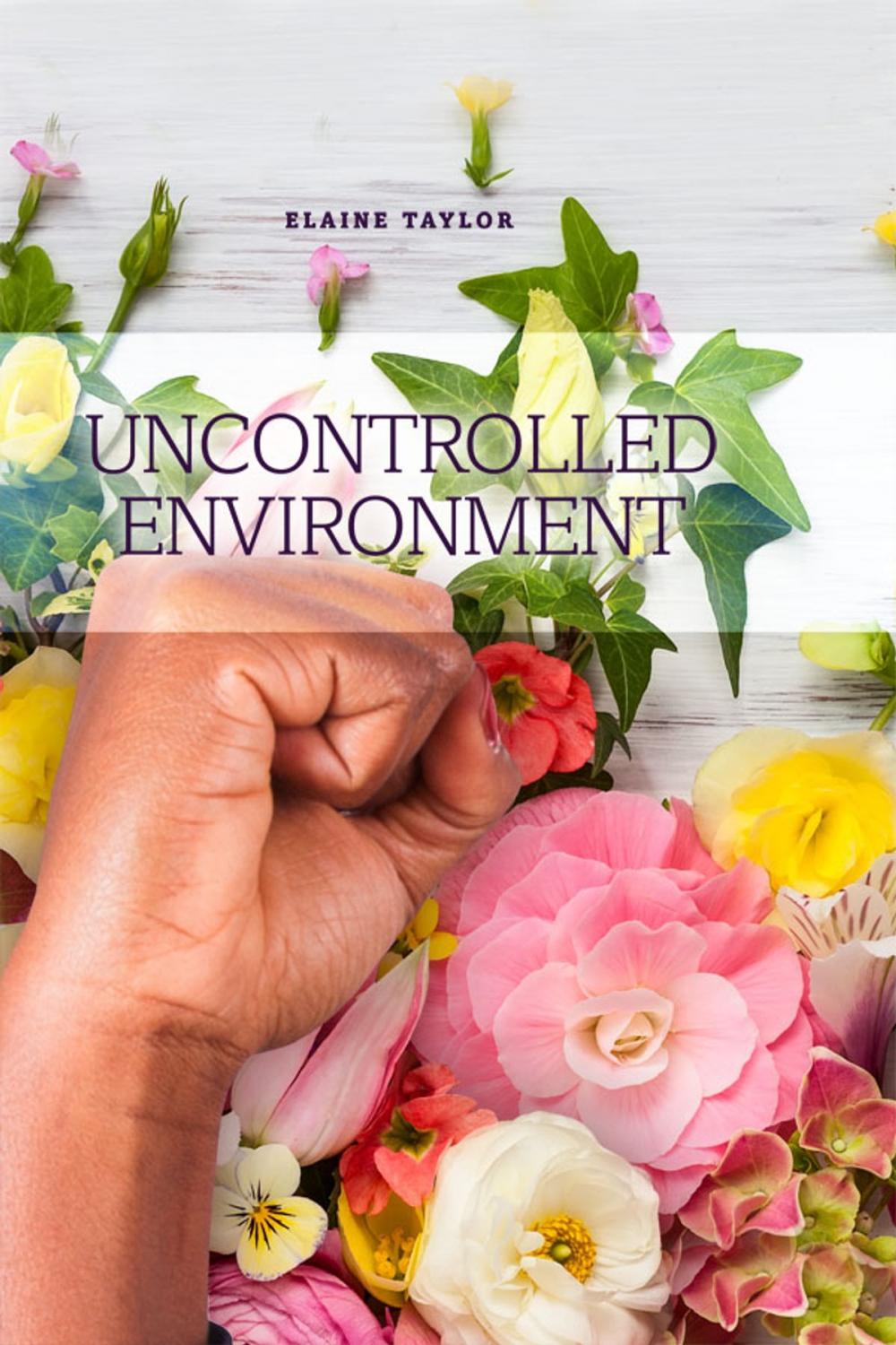 Big bigCover of Uncontrolled Environment