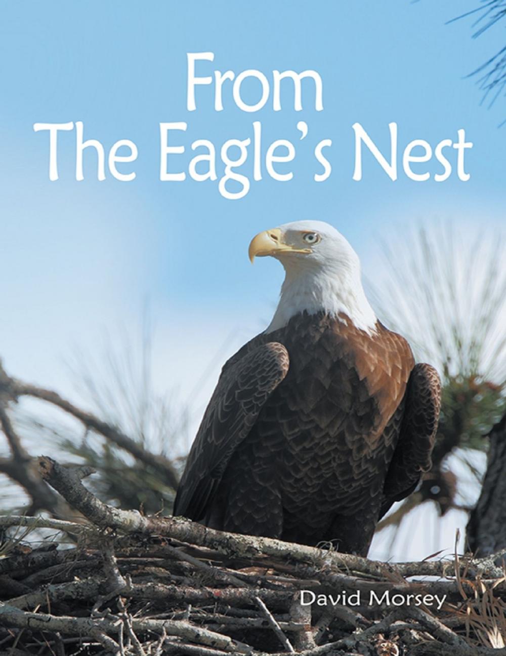 Big bigCover of From the Eagle's Nest