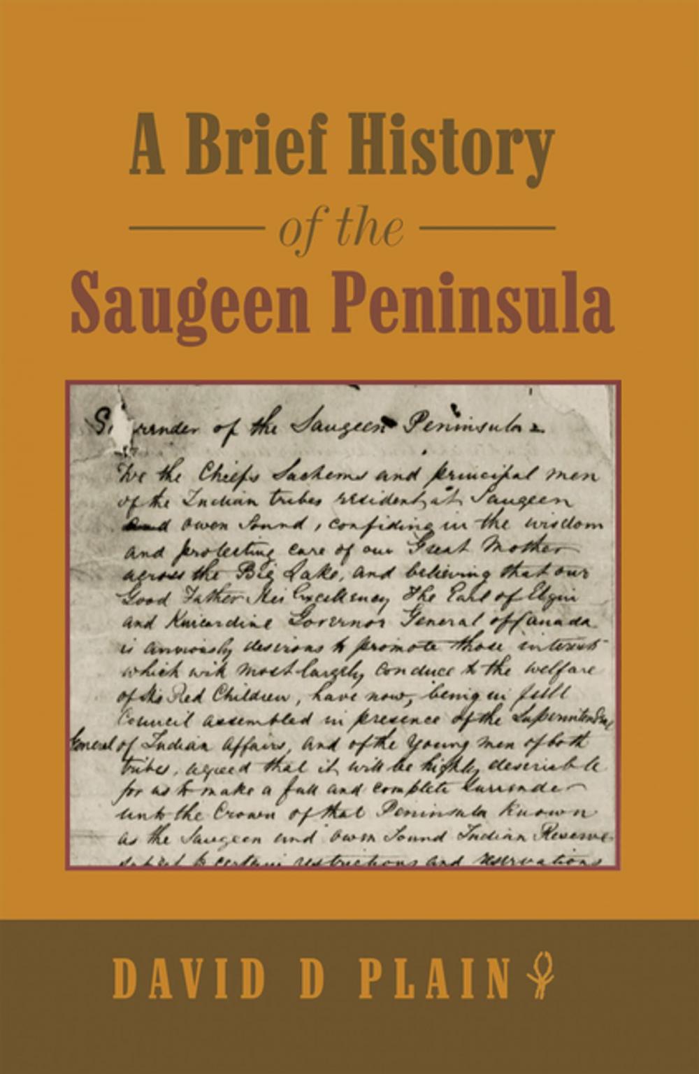 Big bigCover of A Brief History of the Saugeen Peninsula