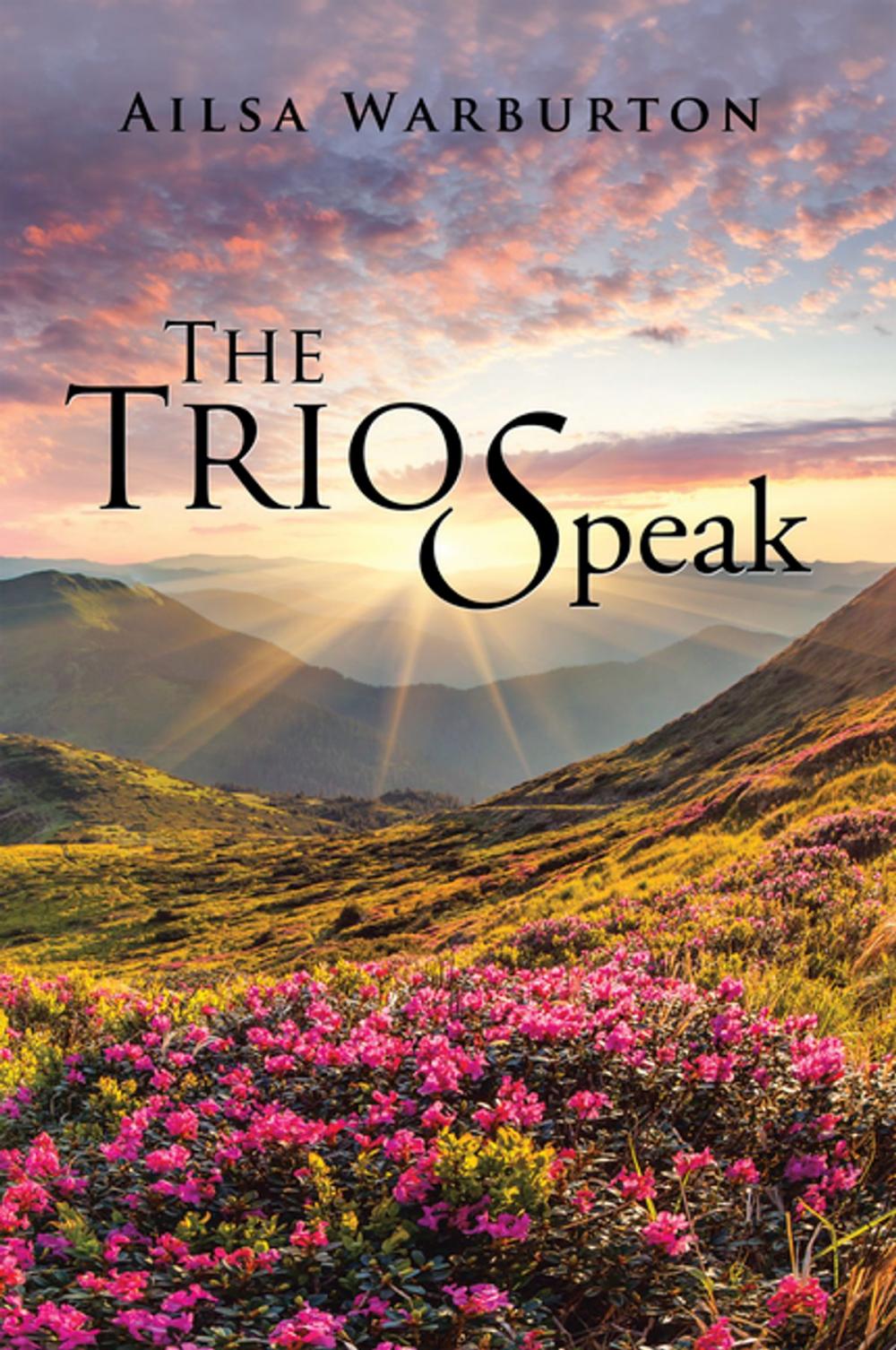 Big bigCover of The Trio Speak