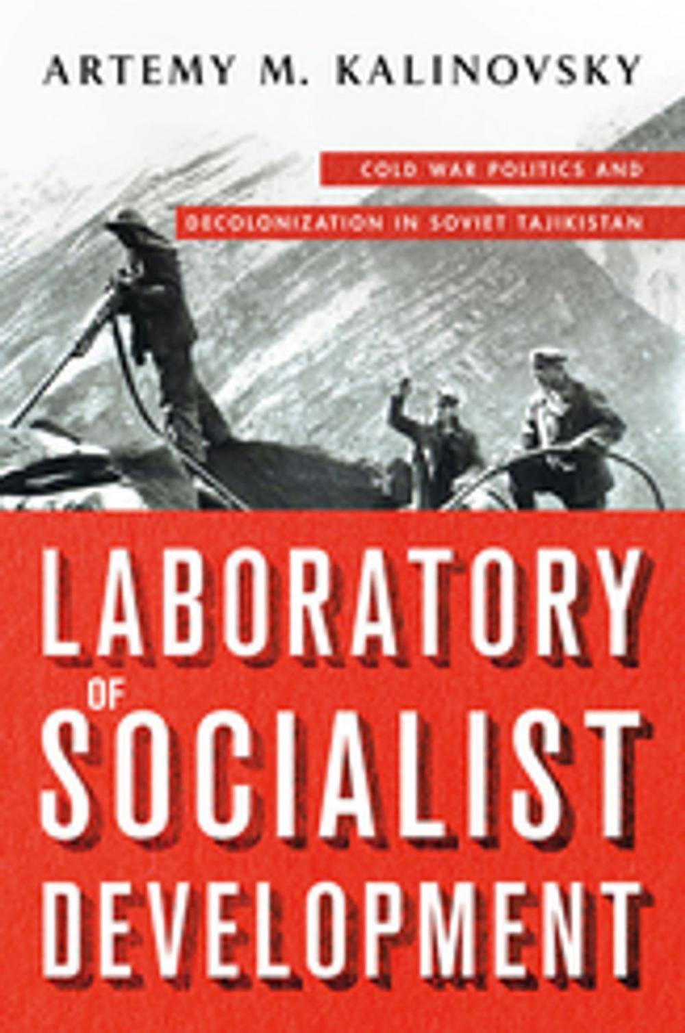 Big bigCover of Laboratory of Socialist Development