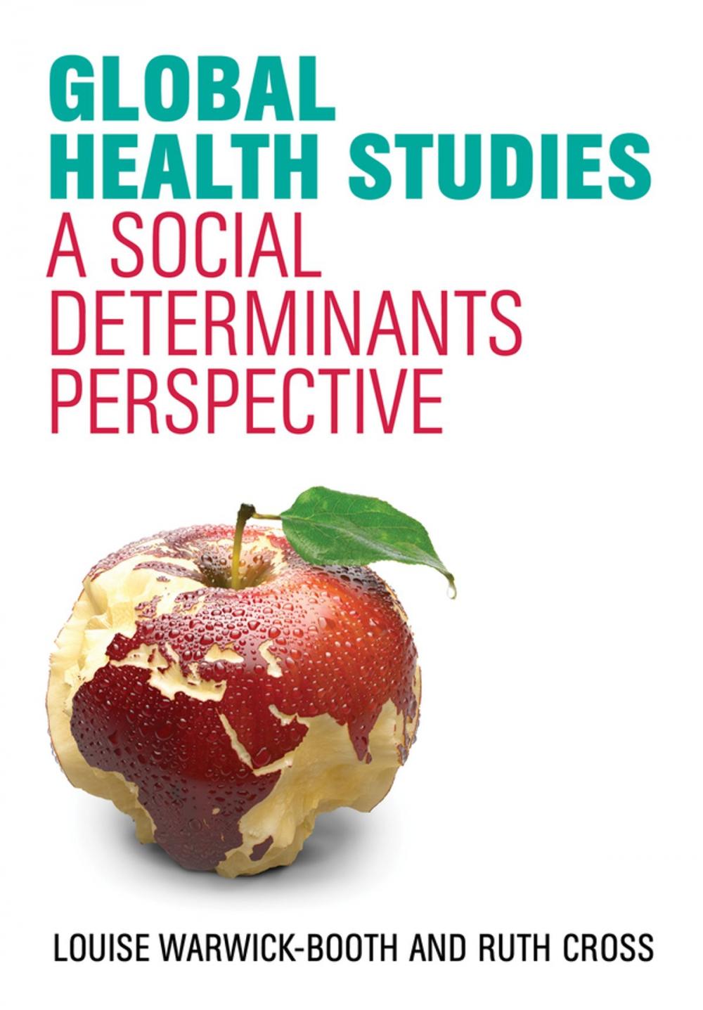 Big bigCover of Global Health Studies