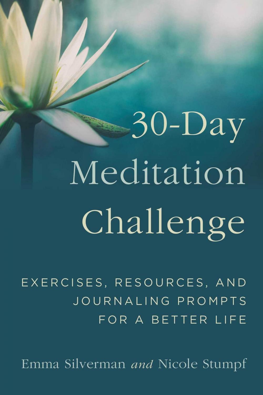 Big bigCover of 30-Day Meditation Challenge