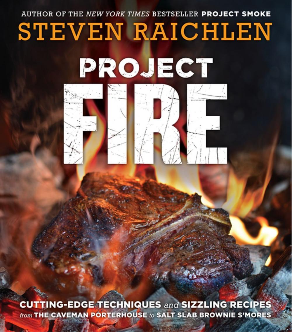 Big bigCover of Project Fire