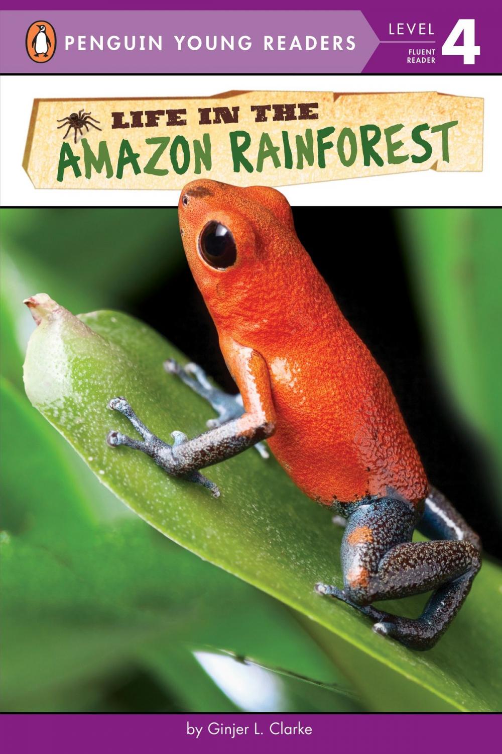 Big bigCover of Life in the Amazon Rainforest