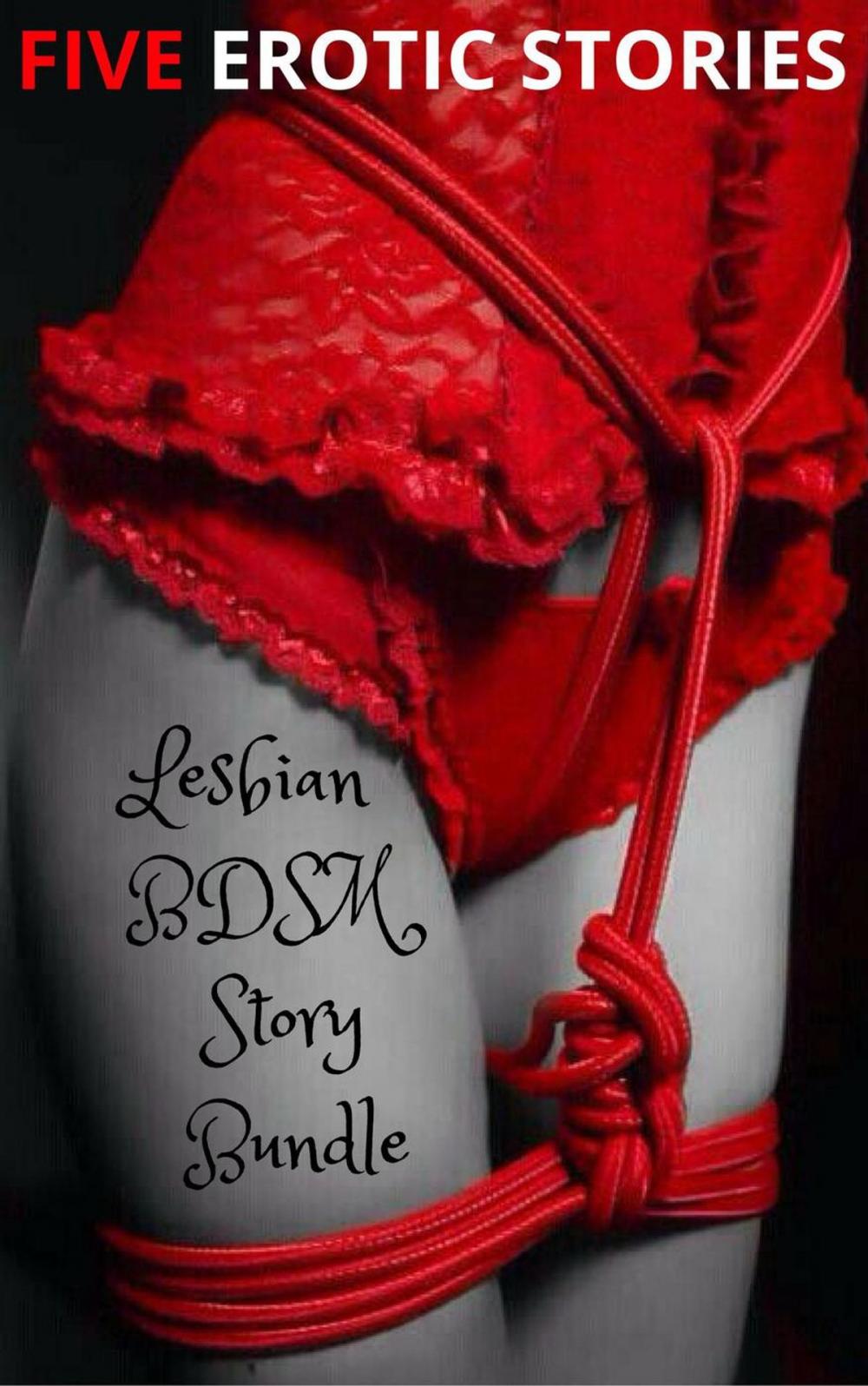 Big bigCover of Lesbian BDSM Story Bundle