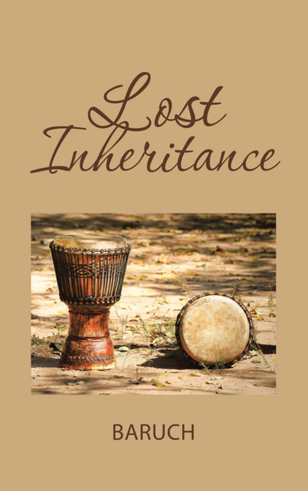 Big bigCover of Lost Inheritance