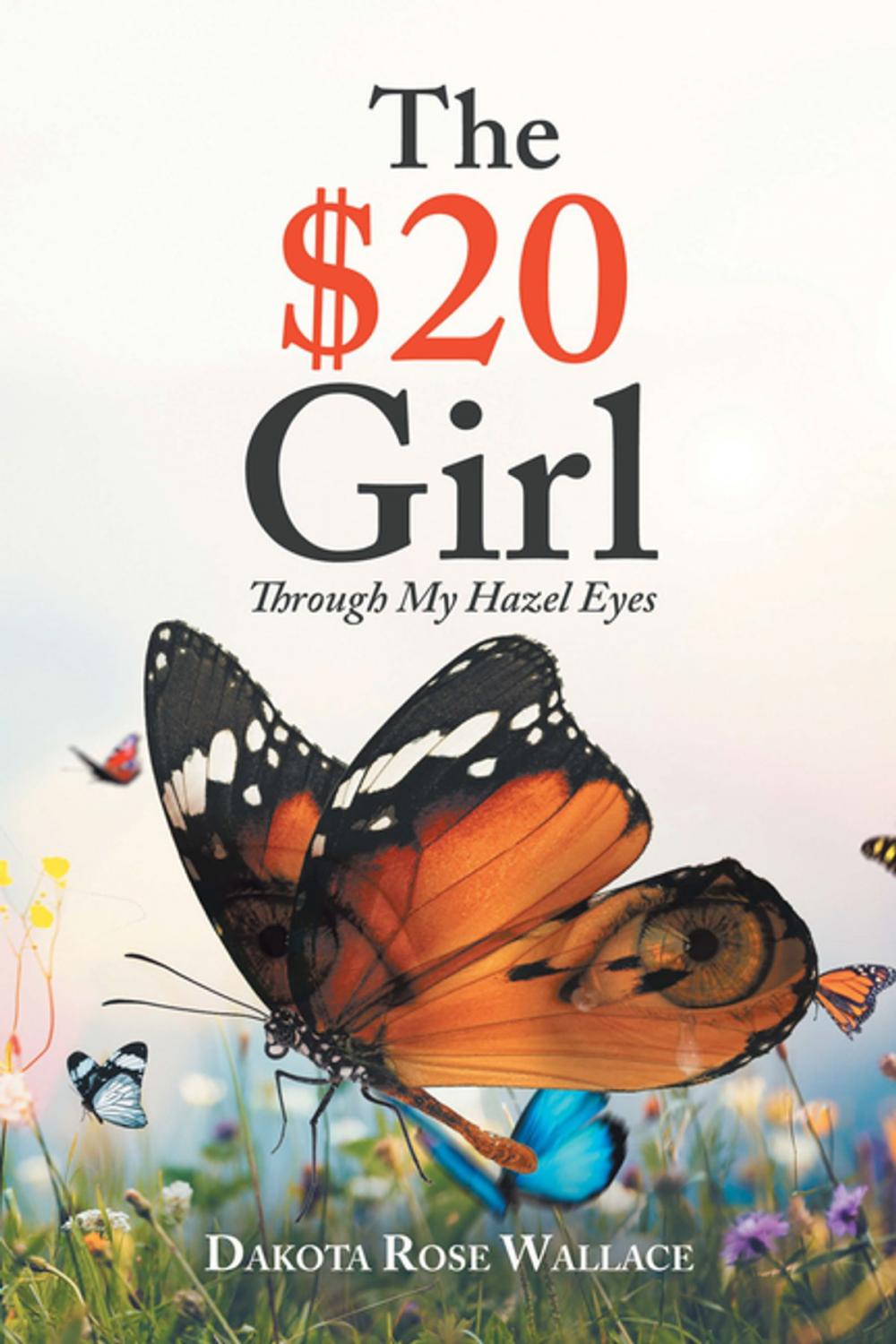 Big bigCover of The $20 Girl