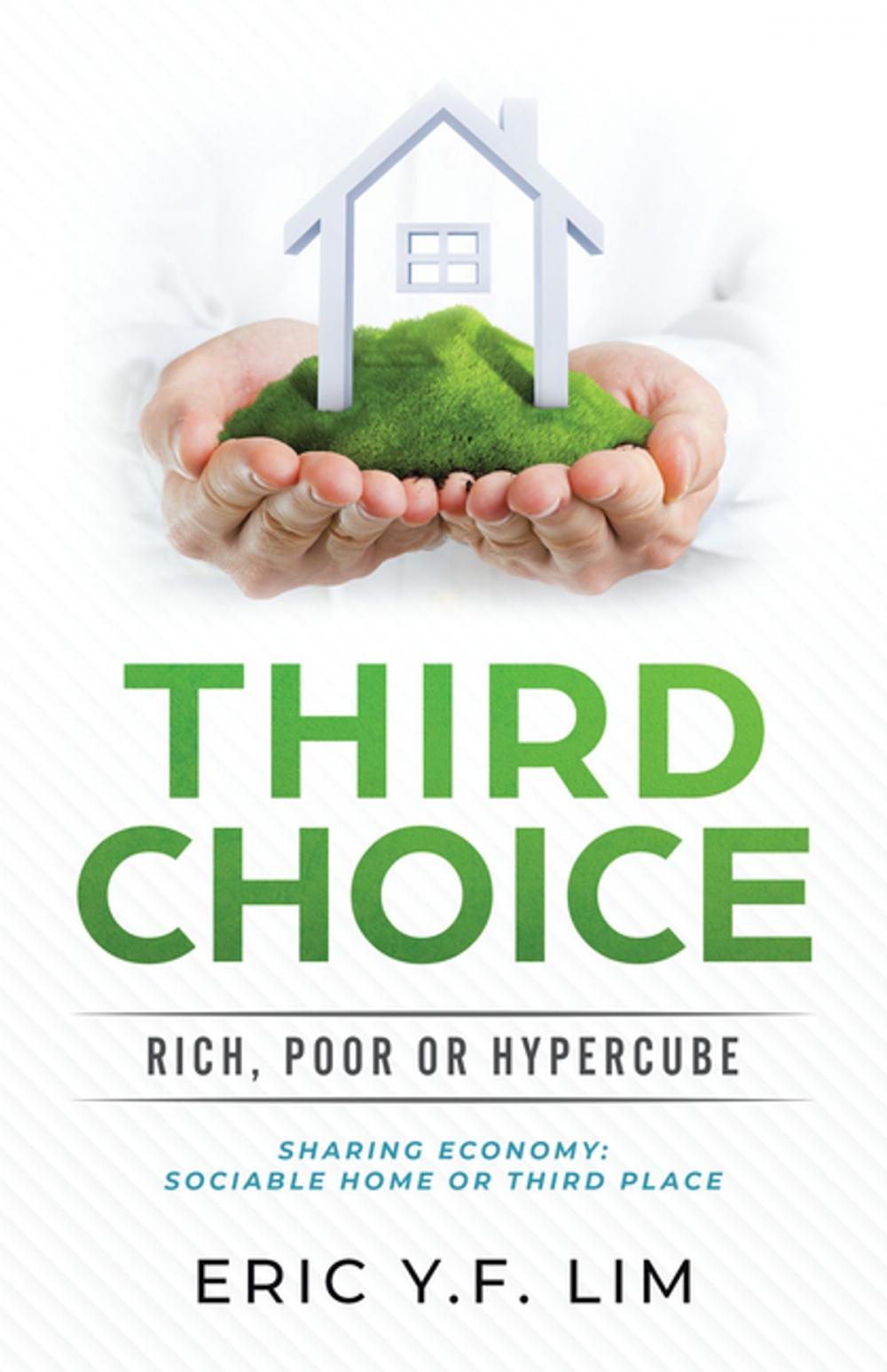 Big bigCover of Third Choice