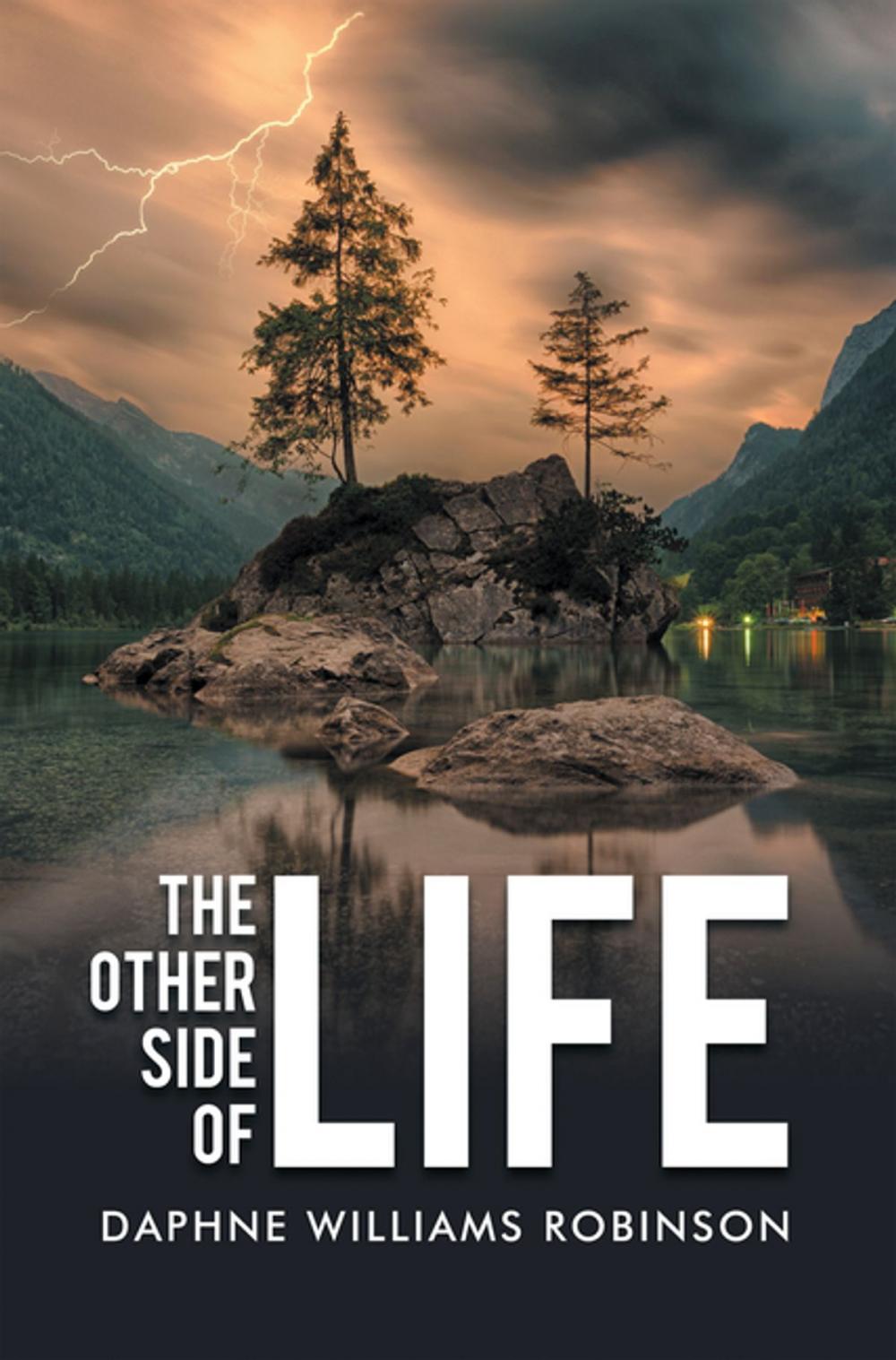 Big bigCover of The Other Side of Life