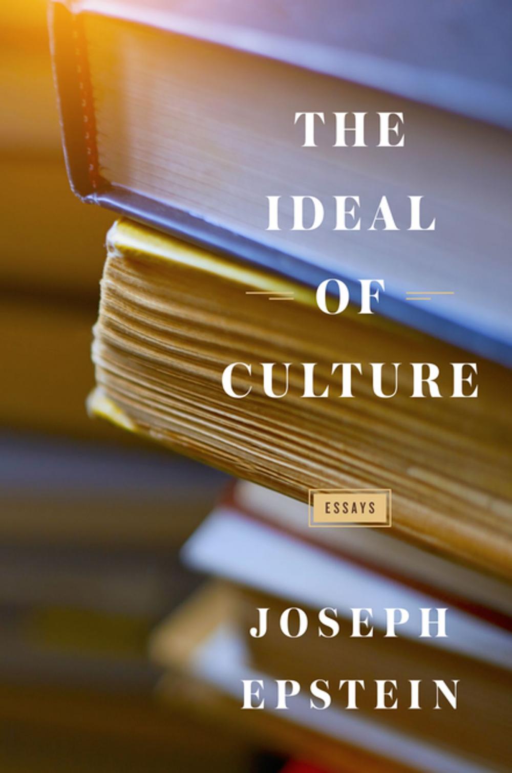 Big bigCover of The Ideal of Culture