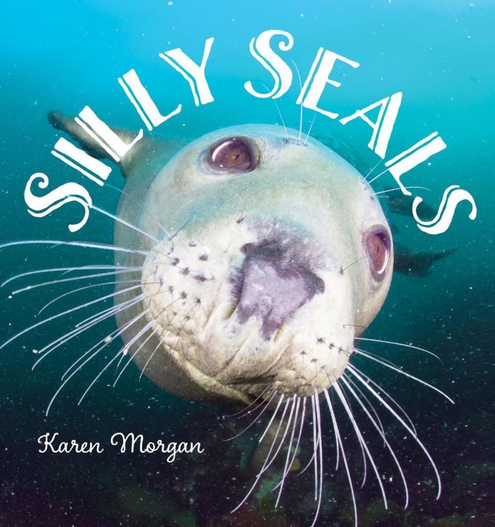 Big bigCover of Silly Seals