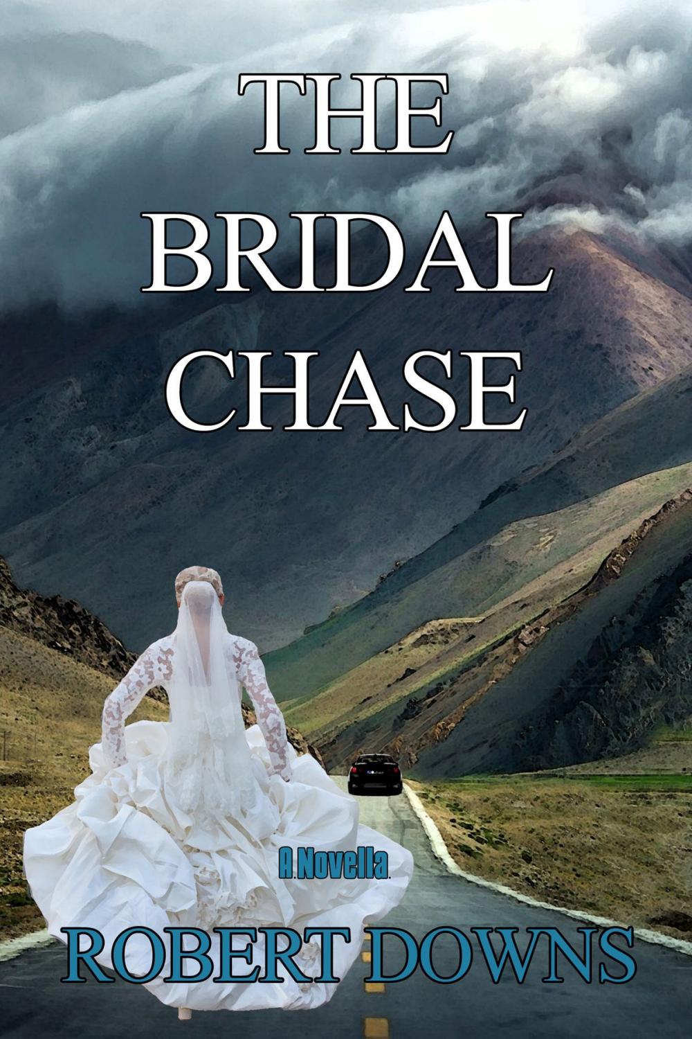 Big bigCover of The Bridal Chase