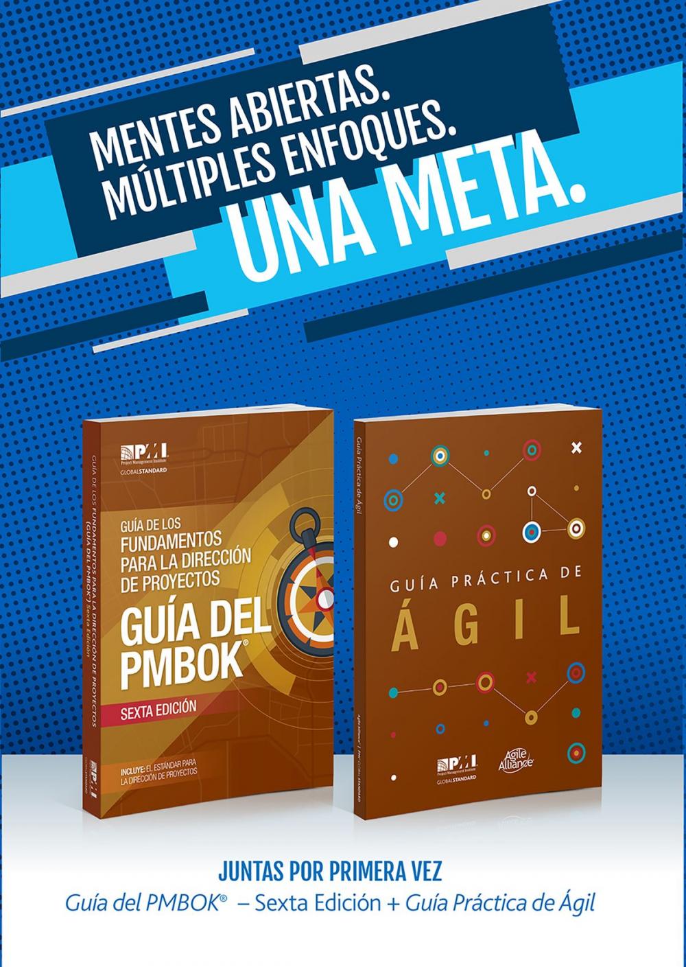 Big bigCover of A Guide to the Project Management Body of Knowledge (PMBOK(R) Guide-Sixth Edition / Agile Practice Guide Bundle (SPANISH)