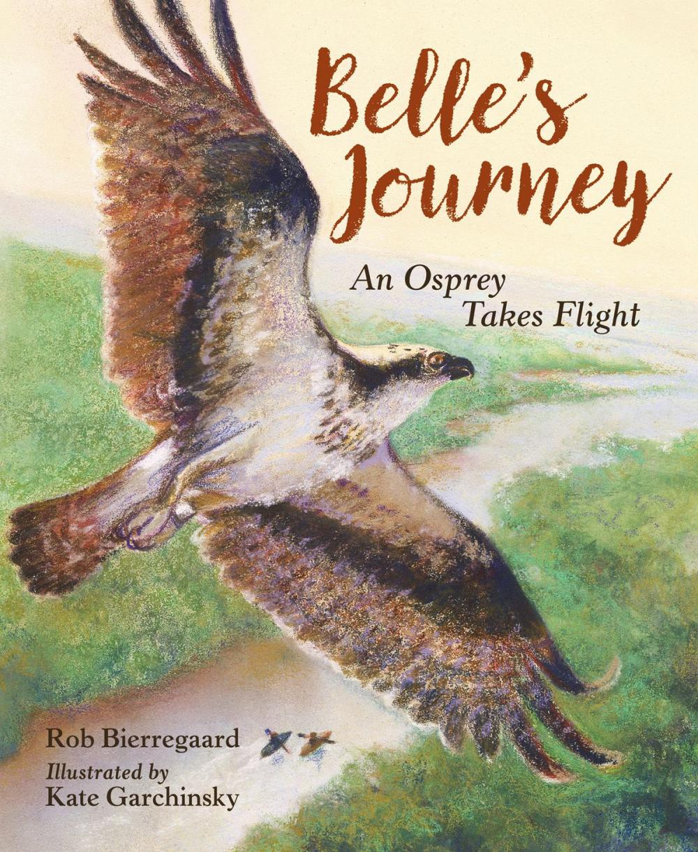 Big bigCover of Belle's Journey