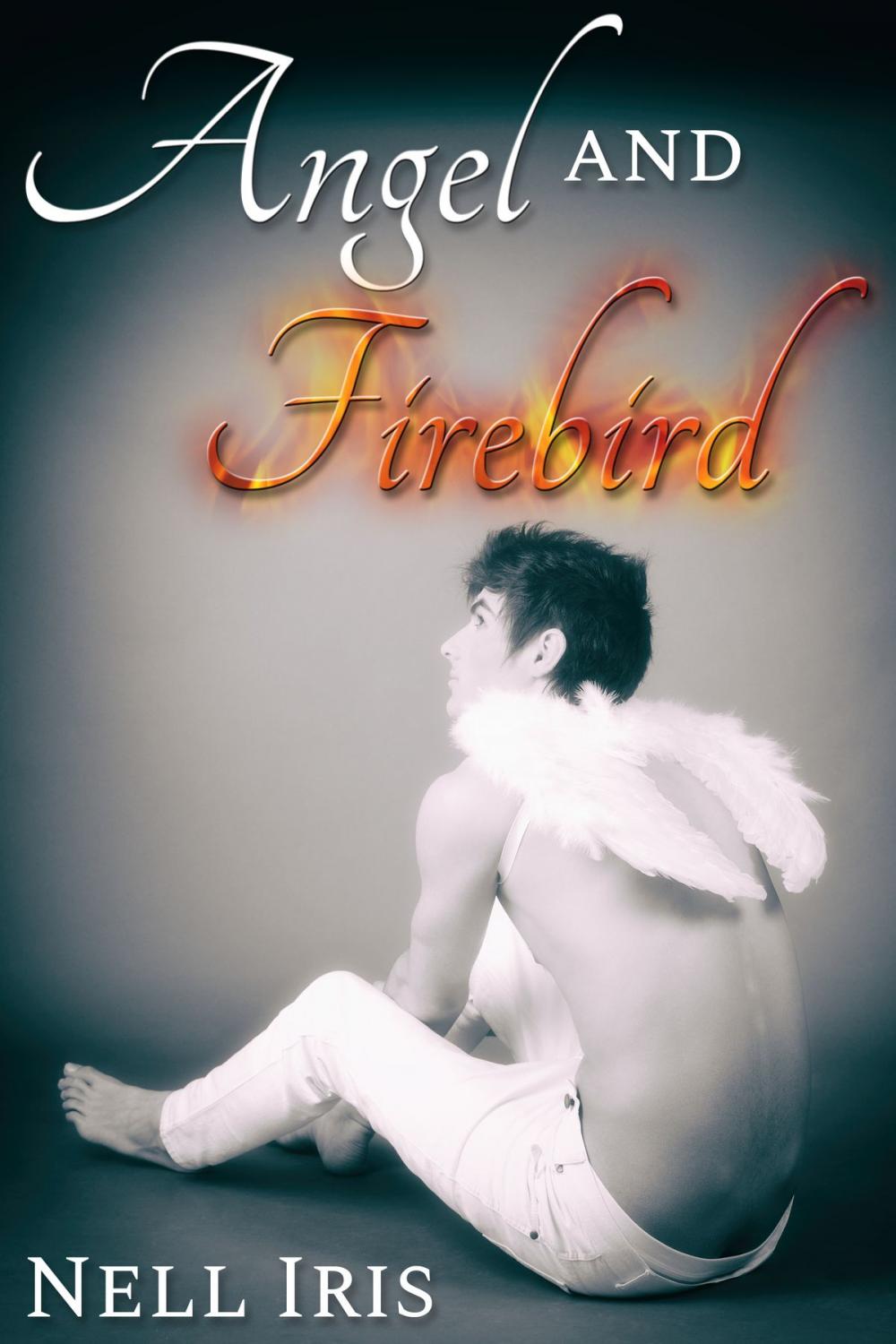 Big bigCover of Angel and Firebird